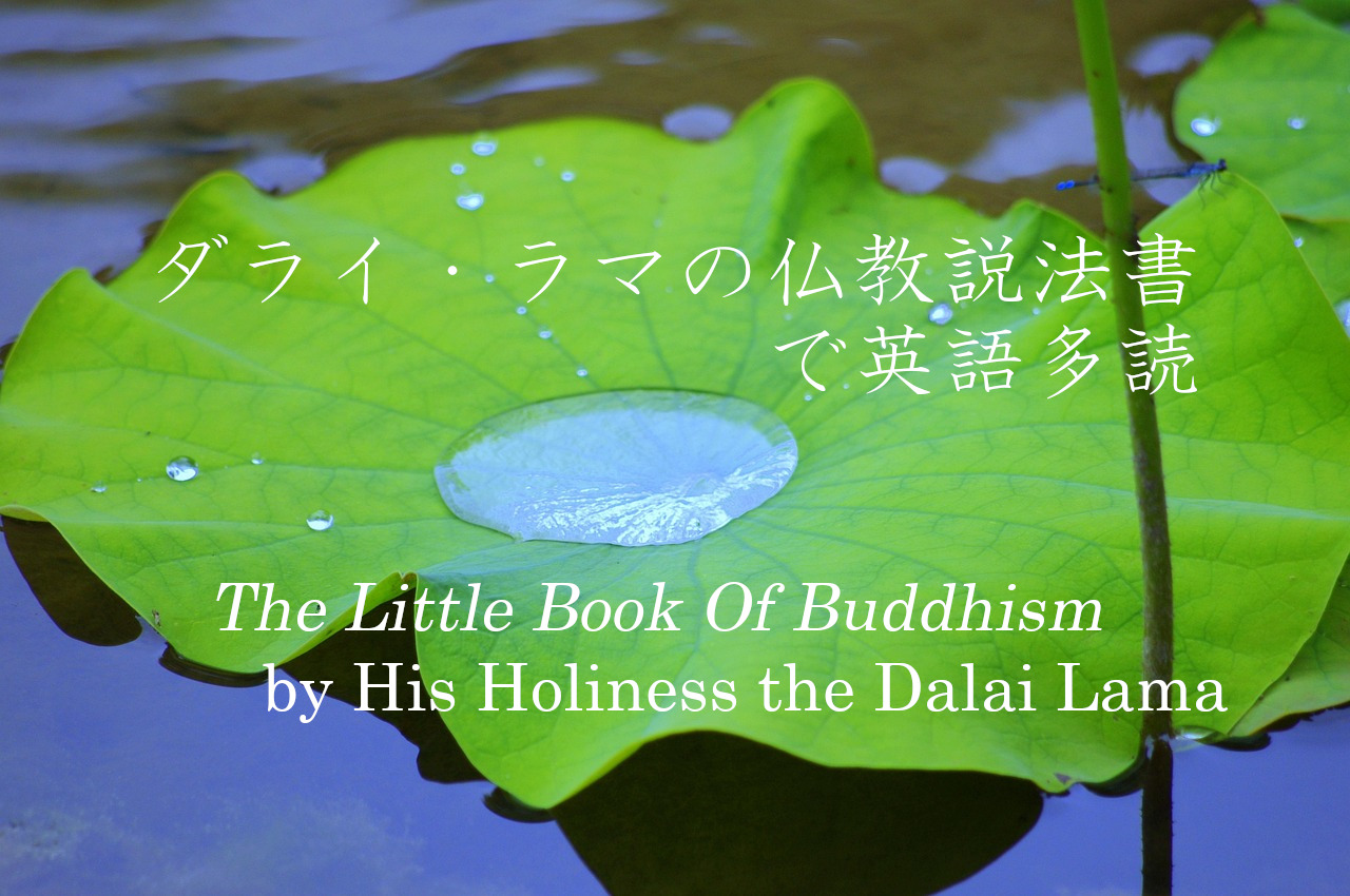 ダライ・ラマの仏教説法書で英語多読｜The Little Book Of